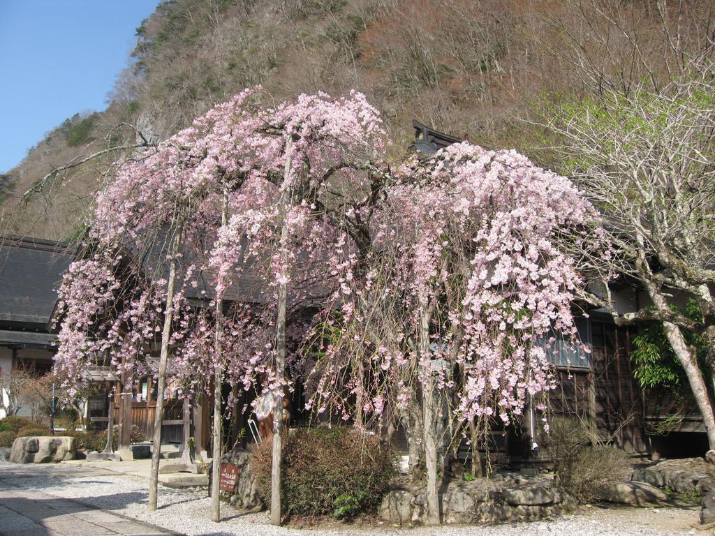 Masugen Ryokan Tenkawa Buitenkant foto