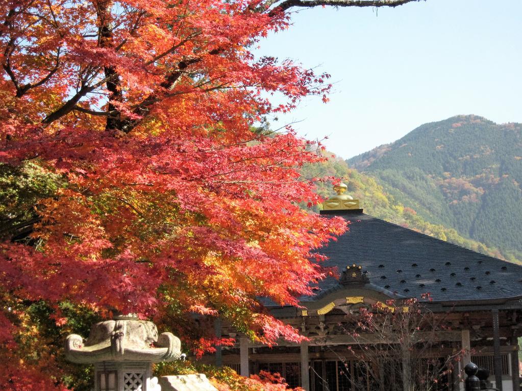 Masugen Ryokan Tenkawa Buitenkant foto